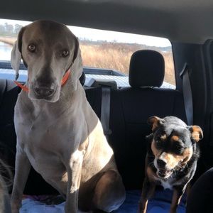 Meet your Posher, Don